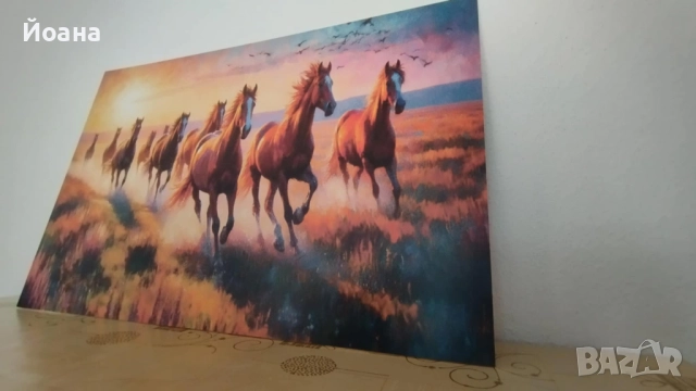 Пвц пано 5мм дебелина с Роналдо, снимка 3 - Пана - 52374719