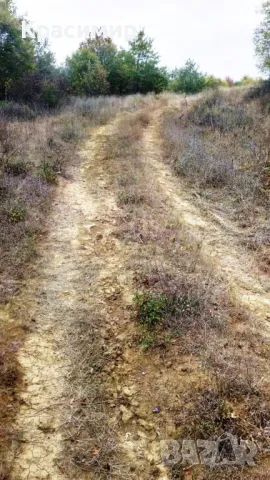 Земя, с. Баня, 6934кв.м, Иракли Вая, р. Вая

, снимка 5 - Земеделска земя - 47303072