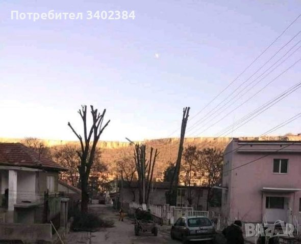 Рязане на високи и опасни дървета и почистване на дворове от треви и храсти., снимка 5 - Градинска техника - 36933277