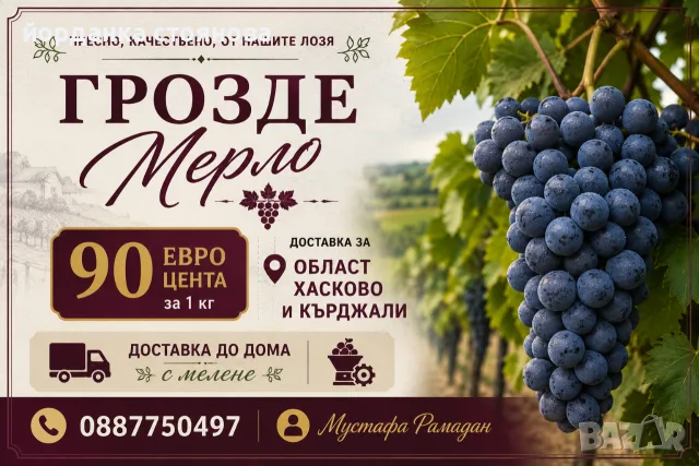 Продавам грозде Мерло 