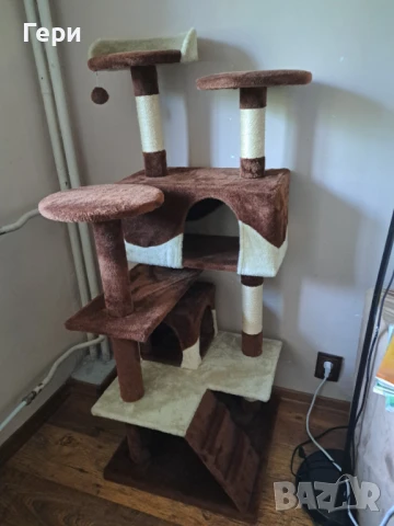 Котешка катерушка 