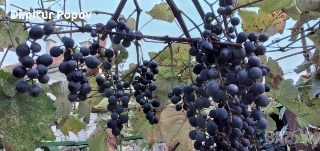 Отел- Резници