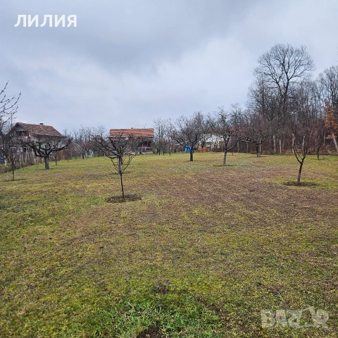 ВИЛЕН ИМОТ, Вачански лозя, м. Янкин връх, снимка 13 - Вили - 53935273