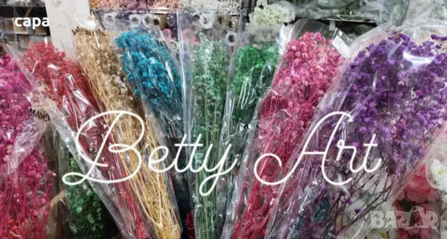 Сух гипсофил 