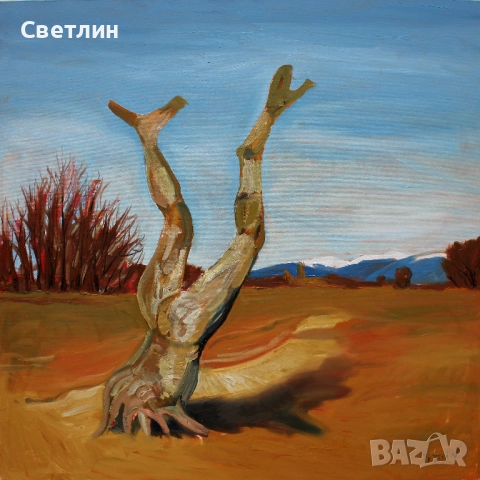 Картини от Светлин Колев, снимка 17 - Картини - 52791458