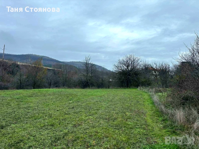 Земеделска земя с. Аспарухово, снимка 9 - Земеделска земя - 40564449