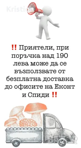 Сурови натурални белени слънчогледови семена и Печен шам фъстък с морска сол, снимка 3 - Други - 35335019