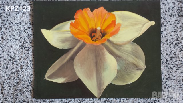 КАРТИНА НАТЮРМОРТ АКВАРЕЛ, снимка 2 - Картини - 29081127