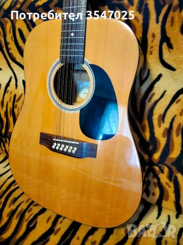 Електро акустична китара Johnson -12 струнна ,с Fishman 301, снимка 2 - Китари - 53135097