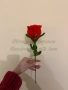 Вечна роза от плюшена тел, снимка 3