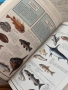 Енциклопедии Larousse| История на света, Флора и фауна, Световен атлас, Детска енциклопедия , снимка 6