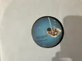 Грамофонна плоча 12”, снимка 3