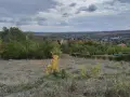 Парцел за строеж на къща в с.Басарбово, снимка 1