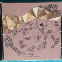 Tunng – 2006 - Comments Of The Inner Chorus(Folk Rock), снимка 1 - CD дискове - 44768378