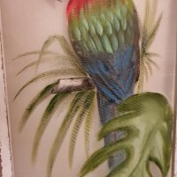 Голяма картина папагал, масло, дървена състарена рамка– 120см/ 60см, снимка 5 - Картини - 38505051