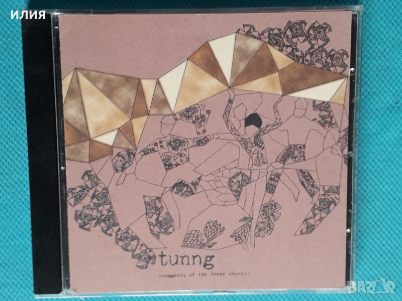 Tunng – 2006 - Comments Of The Inner Chorus(Folk Rock), снимка 1