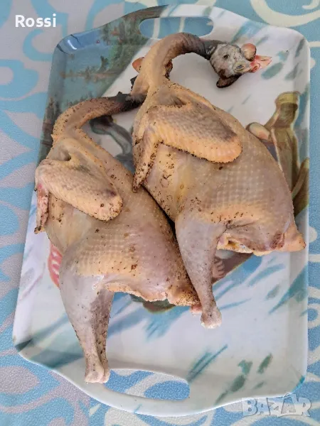 ТОКАЧЕ месо/дивечови птици, снимка 1