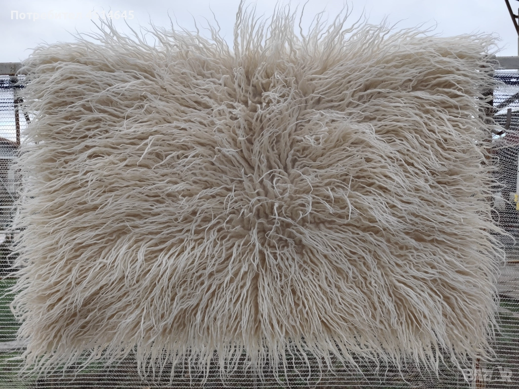 Китеници комплект вълна дълъг косъм , снимка 1