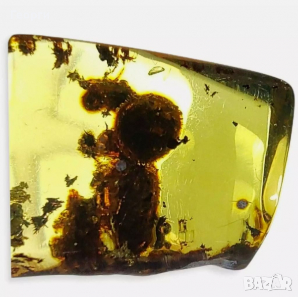 Мексикански кехлибар със запазен термит в него., снимка 1