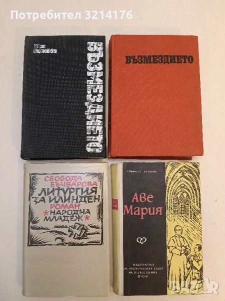 Възмездието - Иван Пауновски , снимка 1