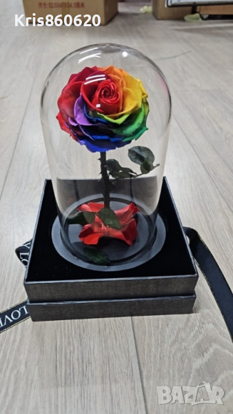 Омагьосаната роза – лимитирано издание Вечна роза - Цветна радост в подаръчна опаковка, снимка 1