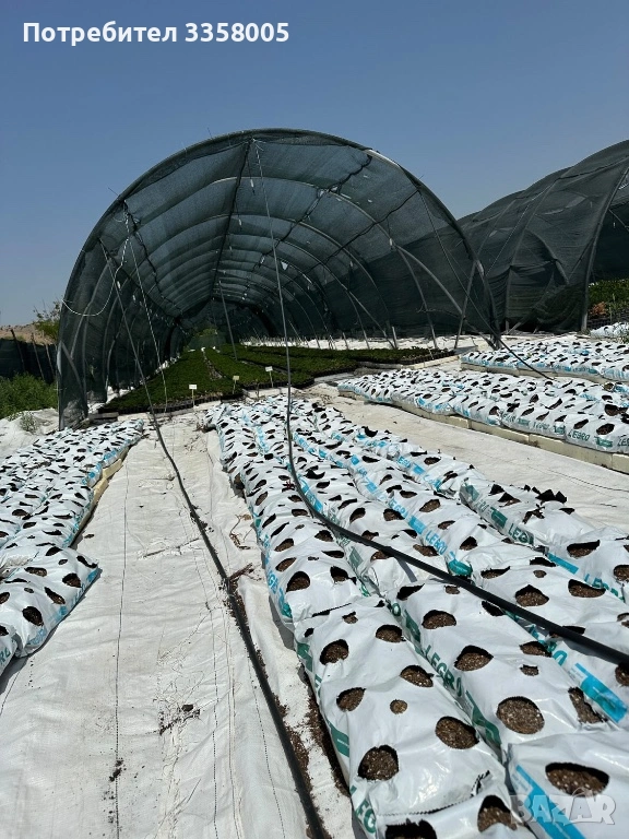 Чували Хидропоника, снимка 1