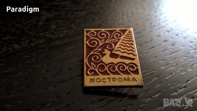 Значка - Русия (СССР) - Кострома, снимка 4 - Други ценни предмети - 29340020