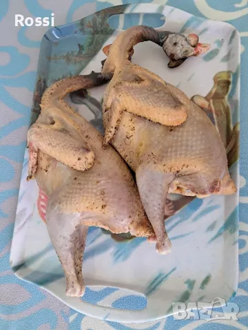 ТОКАЧЕ месо/дивечови птици