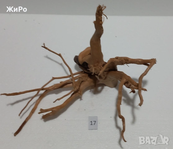Корен от Азалия /декорация/ 17, снимка 4 - Други - 49874631