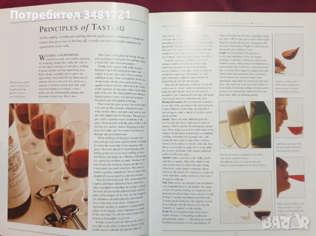 Голяма илюстрирана енциклопедия на виното / The Illustrated Encyclopedia of Wine, снимка 3 - Енциклопедии, справочници - 47411842