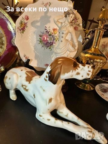 Lomonosov USSR Circa 1950 porcelain English Pointer dog - изящен и огромен сетер Код P1681, снимка 6 - Антикварни и старинни предмети - 52941748