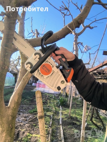 рязане на дърва за огрев и кастрене на дървета, снимка 3 - Други услуги - 51897190