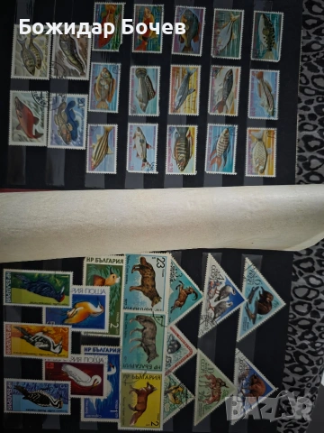 Пощенски марки , снимка 5 - Филателия - 53295308