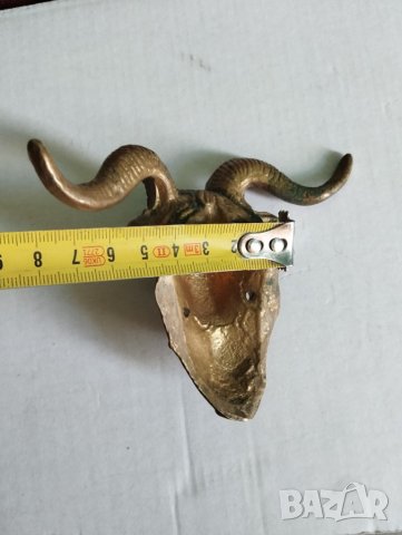 Апликация глава на овен, снимка 4 - Други ценни предмети - 44405500