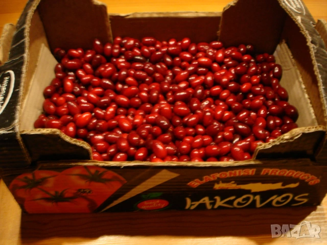 Мармалад и сироп от дренки, снимка 6 - Домашни продукти - 54350025
