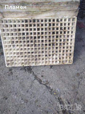 форми за разсад, снимка 3 - Разсади - 54250896