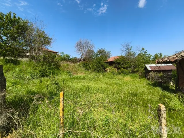 Косене на тревни площи , снимка 5 - Градински цветя и растения - 50153121