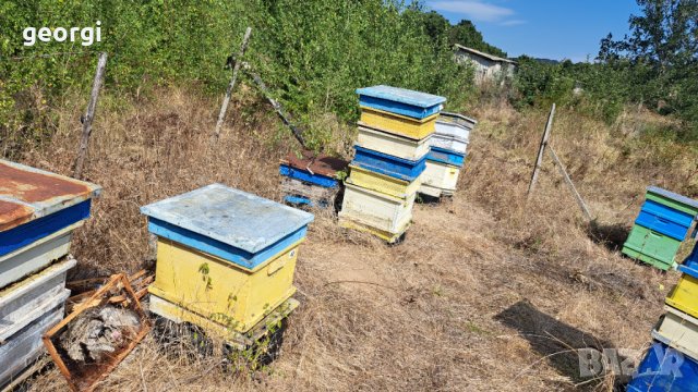 Пчелни кошери, снимка 5 - За пчели - 42390804