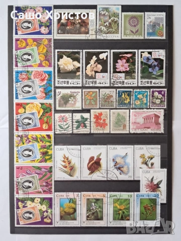 Пощенски марки тема ”Растения”., снимка 8 - Филателия - 53981322