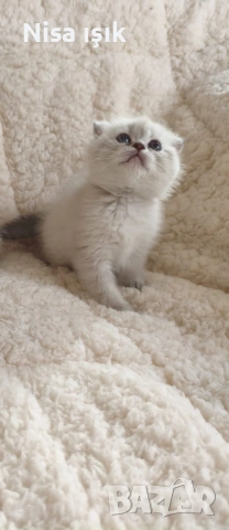 не е красива тя просто е уникална 