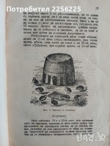 Съвременно птицевъдство , снимка 8 - Специализирана литература - 47725984