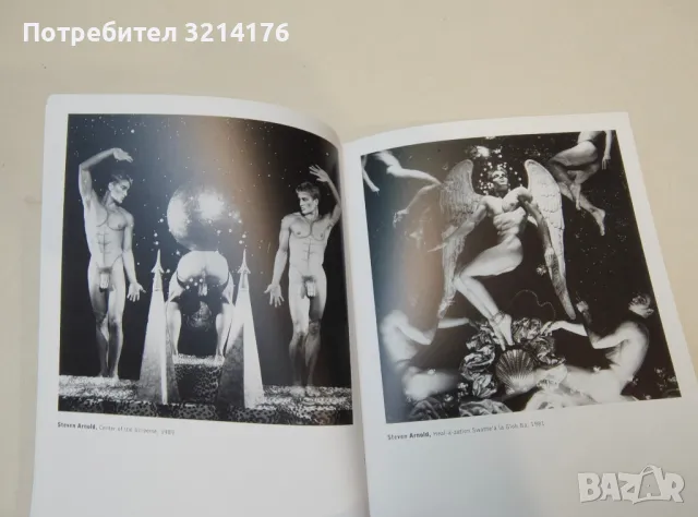 The Male Nude - David Leddick, снимка 13 - Специализирана литература - 50191221