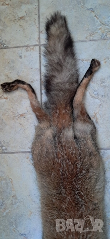 Кожа шал от лисица , снимка 10 - Антикварни и старинни предмети - 52920531