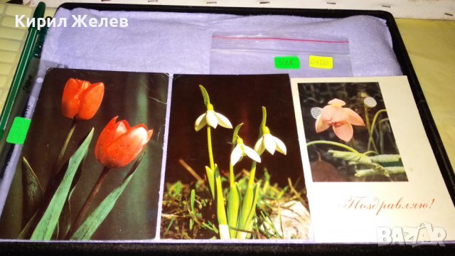 ЛОТ ТРИ СТАРИ КРАСИВИ СССР ПОЩЕНСКИ КАРТИЧКИ СЕРИЯ ЦВЕТЯ ПОЗДРАВИТЕЛНИ 6560