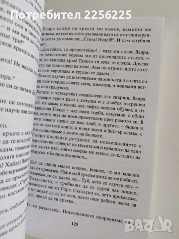 Съвършената - Преподобна Стойна неканоничната светица , снимка 2 - Художествена литература - 55816739