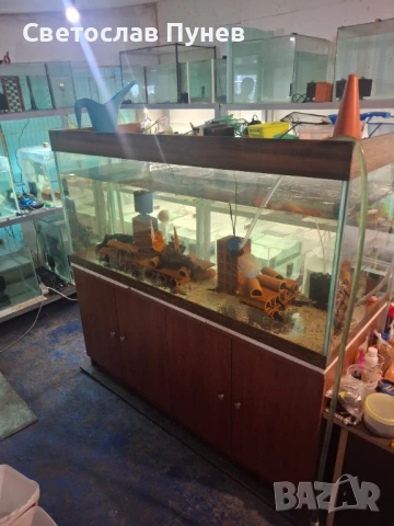 Продавам аквариомите по 50лв стила жители по 250лв, снимка 8 - Аквариуми - 51171328