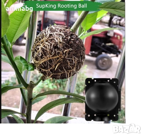 ANIMABG Комплект от топки за въздушен отвод за вкореняване на растения, 12см, 10 броя, снимка 8 - Други - 52558740
