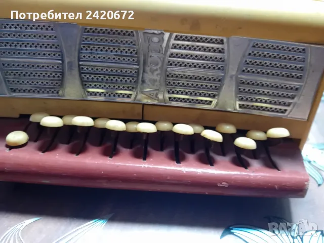 акордеон-хармоника   БАЯН, снимка 3 - Акордеони - 48799795
