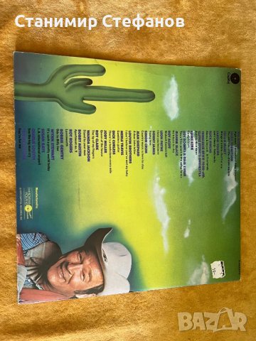 Кънтри музика, снимка 3 - Грамофонни плочи - 37798546