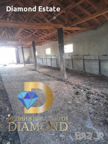 Къща с обор в Симеоновград, снимка 6 - Къщи - 47759429